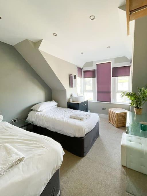 Edge14- Spacious, Stylish And Near The Beach! New Quay Eksteriør bilde